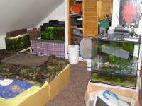 /album/fotogalerie/snimek-093-jpg/